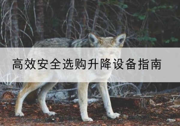 祁连升降货梯厂家推荐-*安全选购升降设备指南