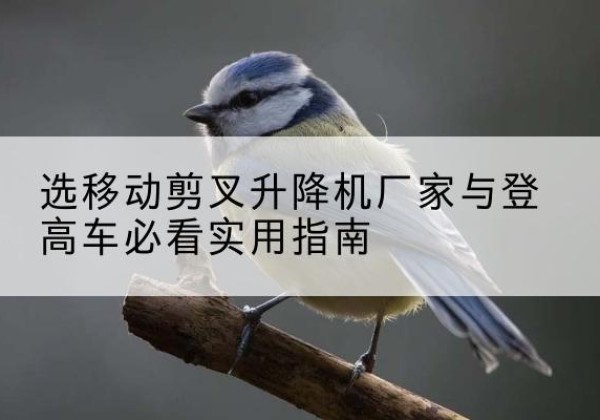 祁连电动升降机厂家-选移动剪叉升降机厂家与登高车必看实用指南
