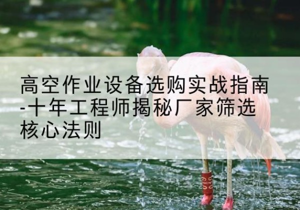 祁连剪叉式升降机厂家-高空作业设备选购实战指南-十年工程师揭秘厂家筛选核心法则